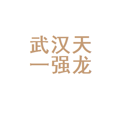 武漢天一強(qiáng)龍稅務(wù)代理 專(zhuān)業(yè)服務(wù)助力企業(yè)穩(wěn)健發(fā)展